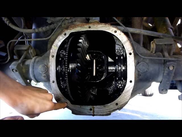 Differential Service