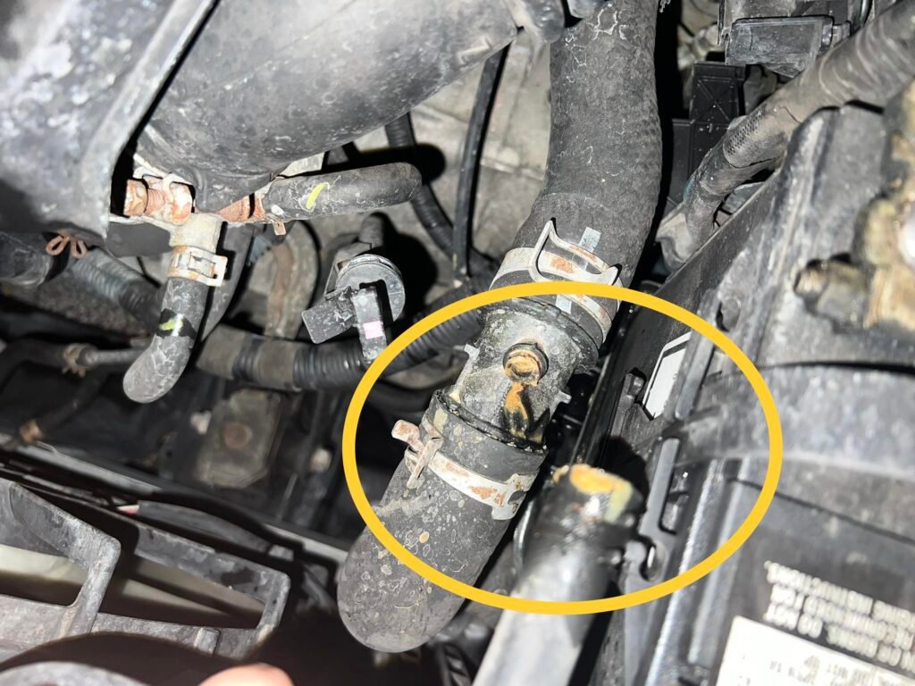 Radiator Hose Replacement